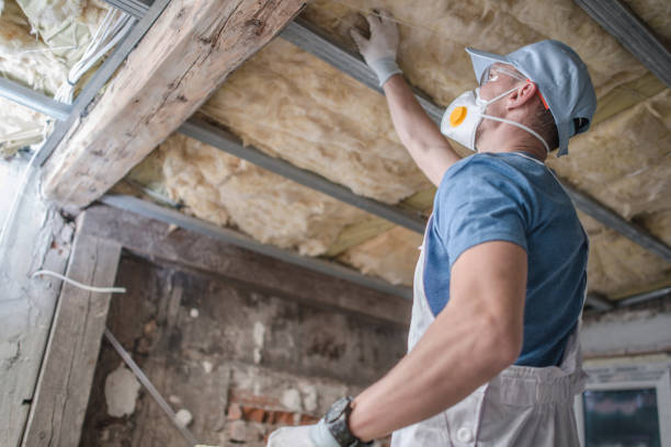 Best Eco-Friendly Insulation in Barrington, IL
