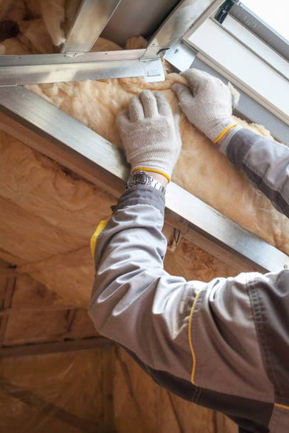 Best Residential Insulation in Barrington, IL